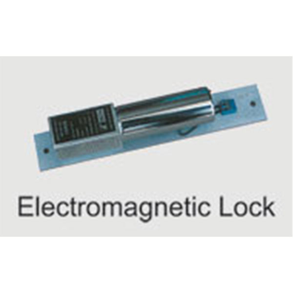 Auto Door and Smart Lock